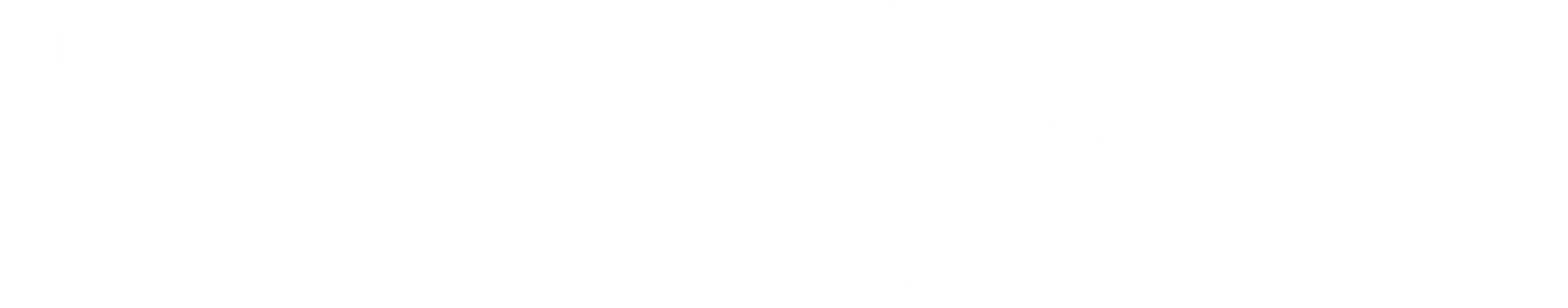 Snusboss logo